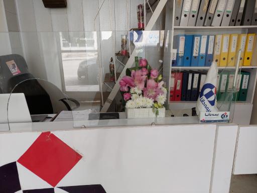 عکس بیمه دانا نمایندگی خانم نواصر