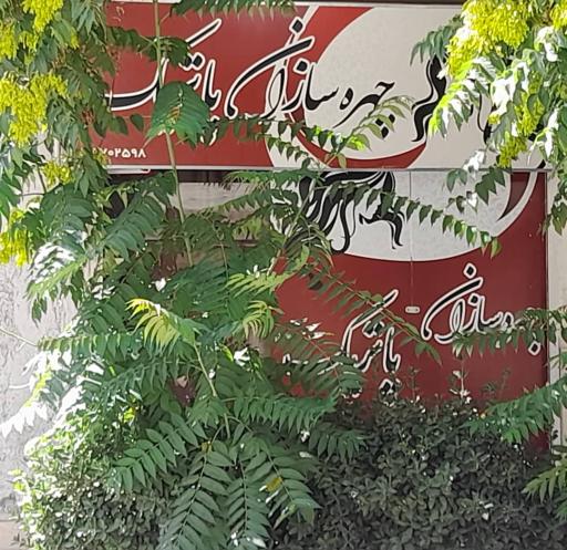 عکس چهره سازان پاتریک