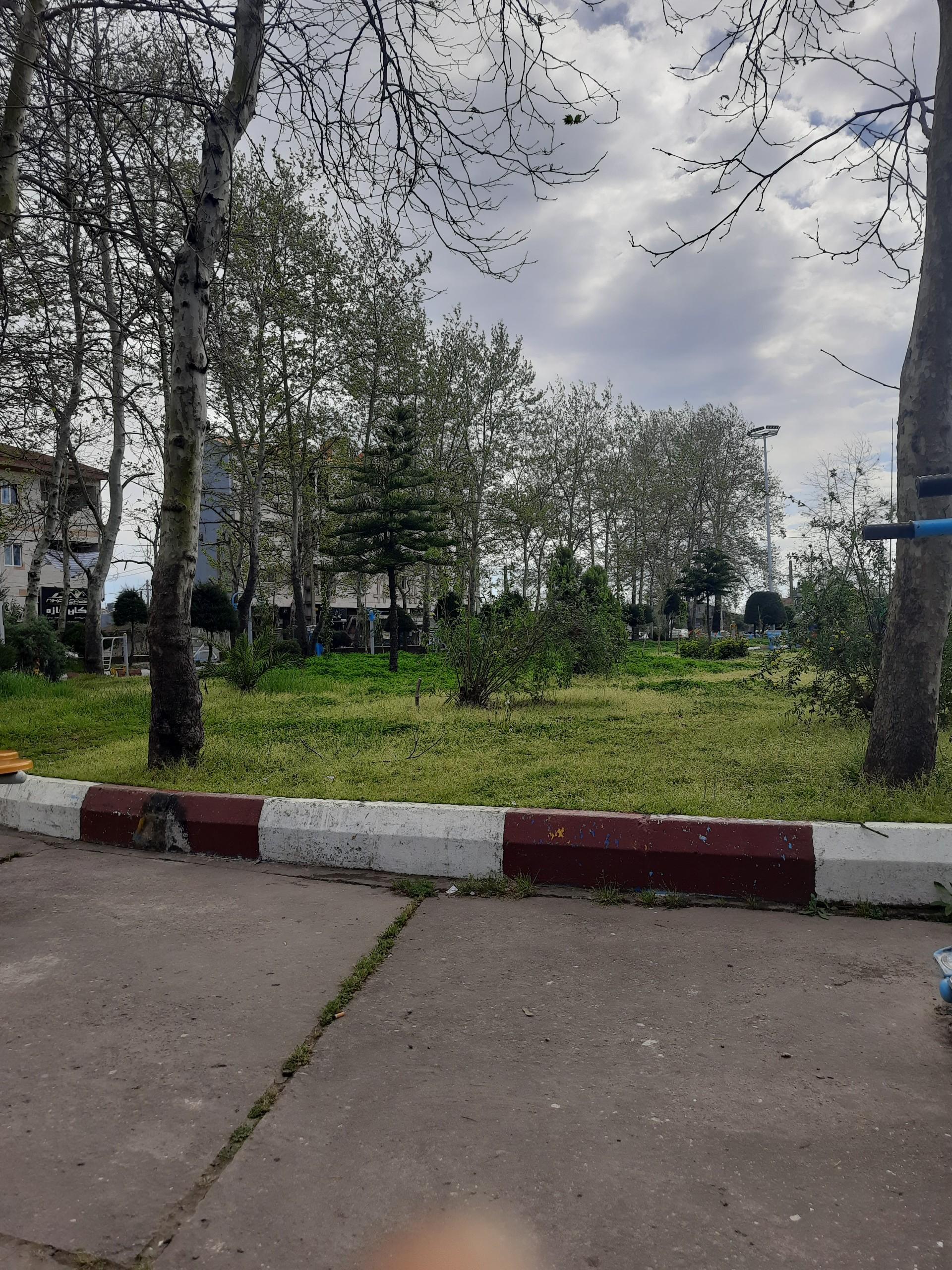عکس پارک جنگلی کوچصفهان 