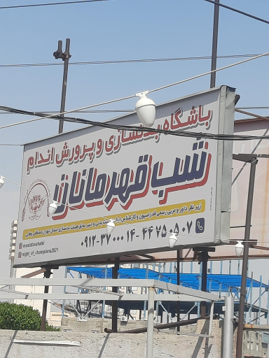 عکس باشگاه بدنسازی و پرورش اندام شب قهرمانان