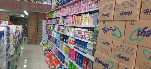 عکس پارسا پخش البرز