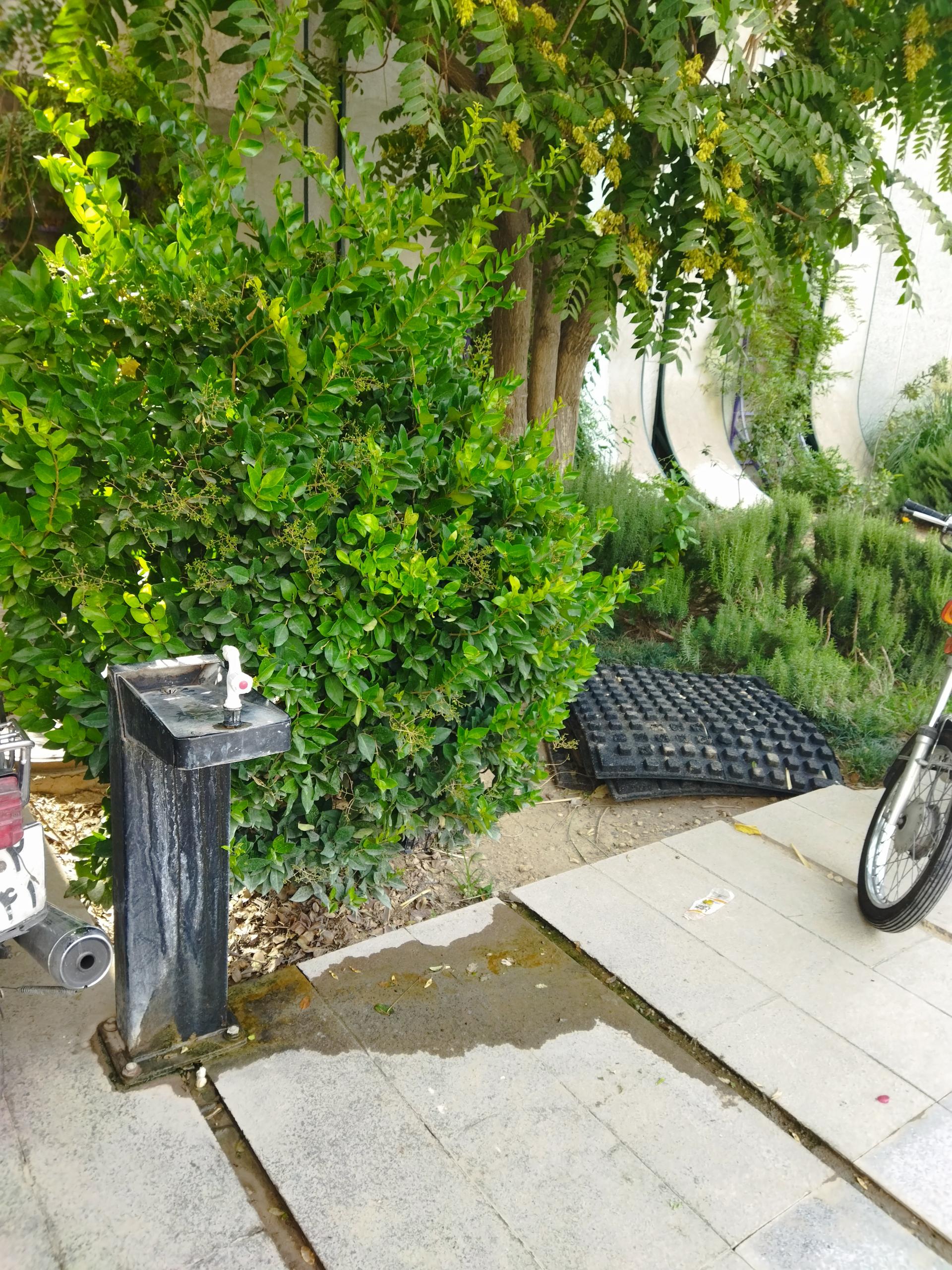 عکس آبخوری بوستان شهدای بخشی‌فرد