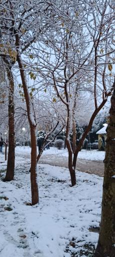 عکس باغ غدیر اصفهان