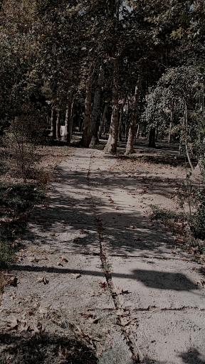 عکس باغ غدیر اصفهان