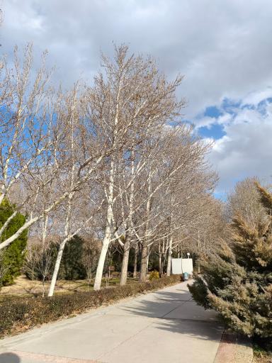 عکس باغ غدیر اصفهان