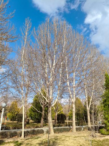 عکس باغ غدیر اصفهان