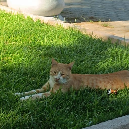 عکس باغ غدیر اصفهان
