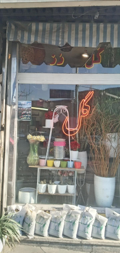 عکس گل فروشی گل رز