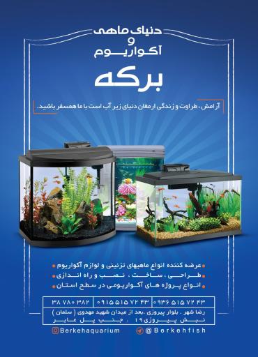 عکس ماهی و آکواریوم برکه