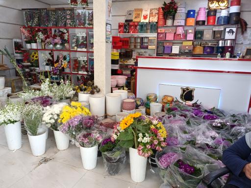 عکس گلسرای گل رز