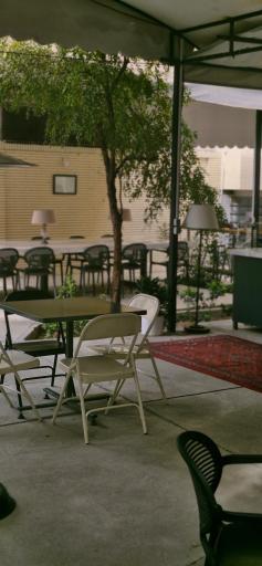 عکس هم کافه