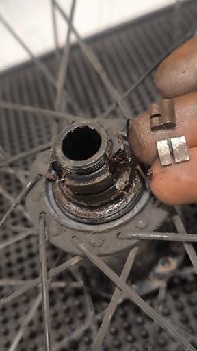 عکس آکادمی فروشگاه دوچرخه زاگرس بایک