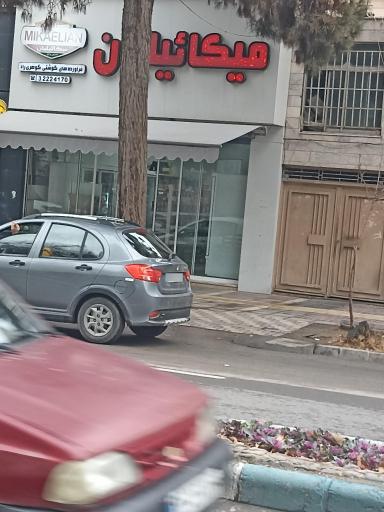 عکس گوشت میکائیلیان