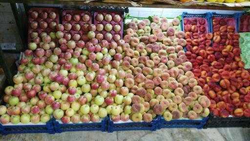 عکس سوپر میوه امید