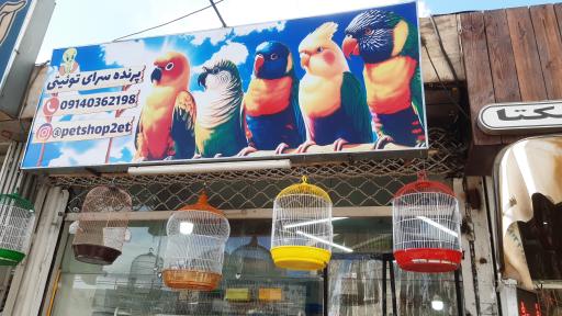 پرنده سرا و پت شاپ توییتی