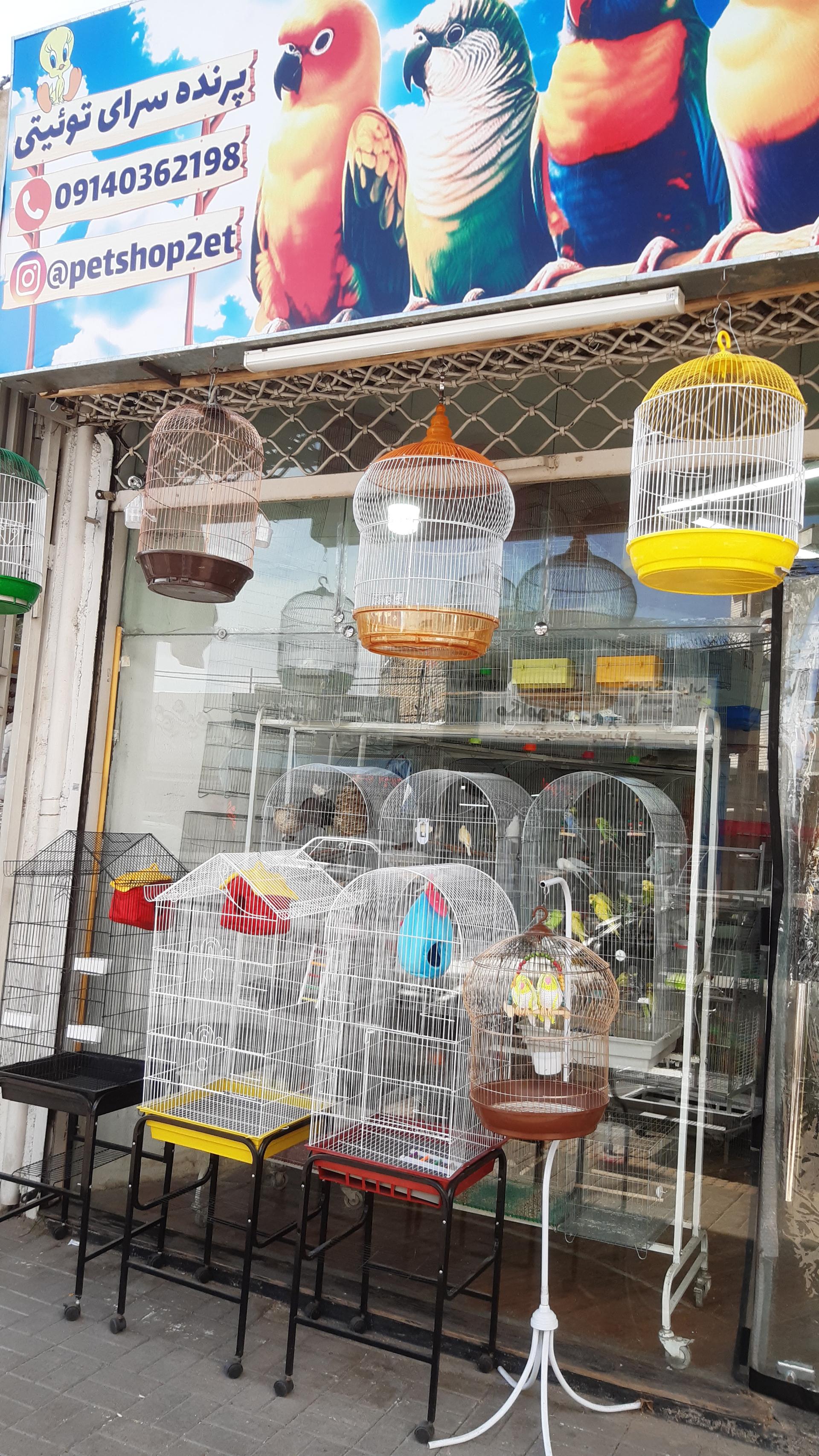 عکس پرنده سرا و پت شاپ توییتی