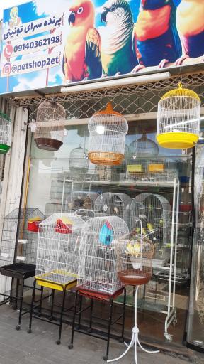 عکس پرنده سرا و پت شاپ توییتی