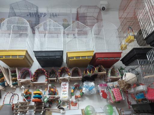 عکس پرنده سرا و پت شاپ توییتی