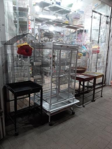 پرنده سرا و پت شاپ توییتی