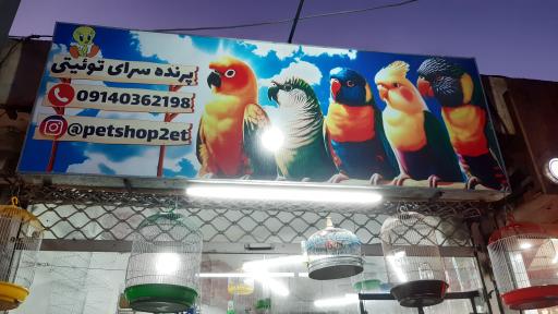 عکس پرنده سرا و پت شاپ توییتی