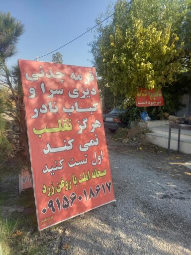 عکس دیزی سرا و کباب نادر