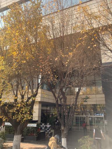 عکس اطلس مال