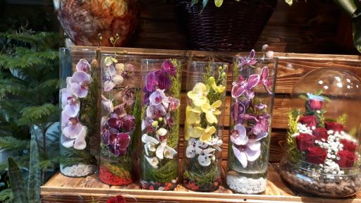 عکس گل کوهسار