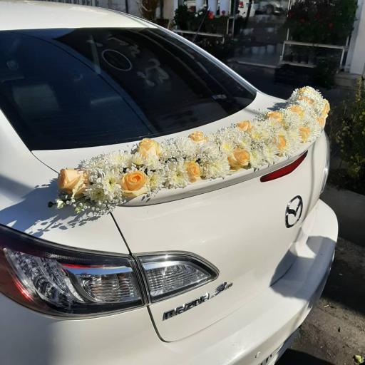 عکس گل کوهسار