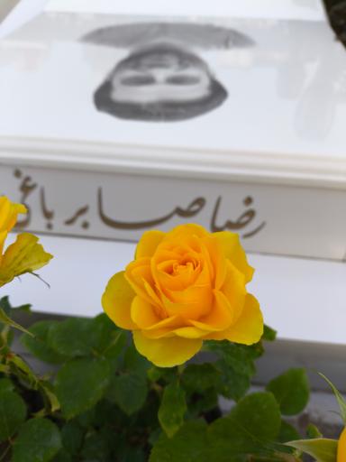 عکس مزار شهید راه خدمت رضا صابر باغی