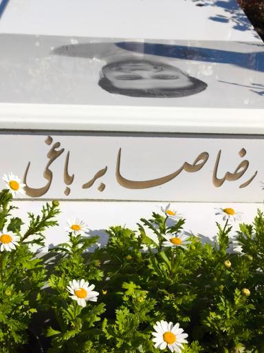 عکس مزار شهید راه خدمت رضا صابر باغی