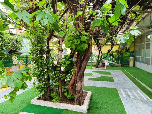 عکس دبستان و پیش دبستان غیر دولتی سپند دانش