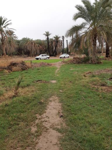 عکس گلمورتی