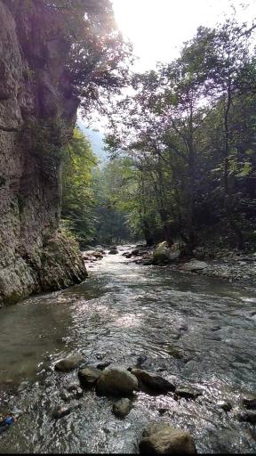 عکس زوات غرب