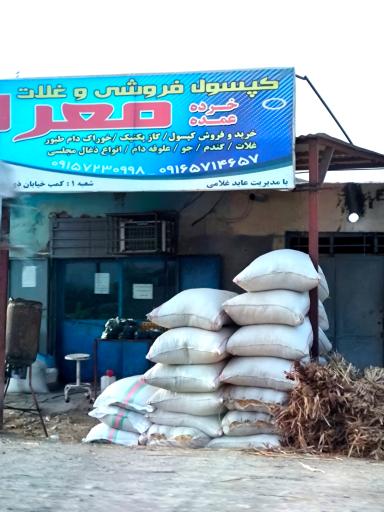 عکس کپسول و غلات معراج