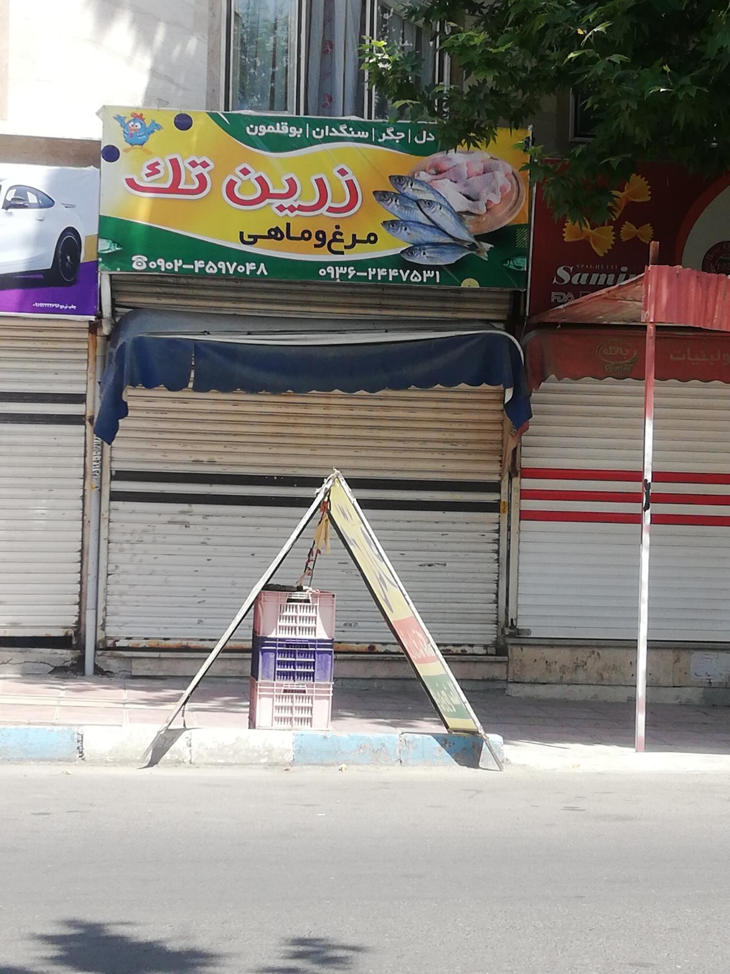 عکس مرغ و ماهی زرین تک