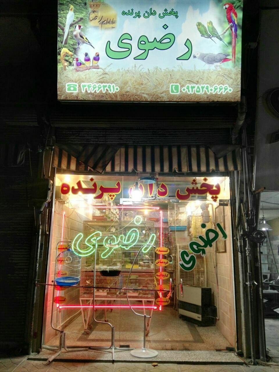 عکس پخش دان پرنده رضوی
