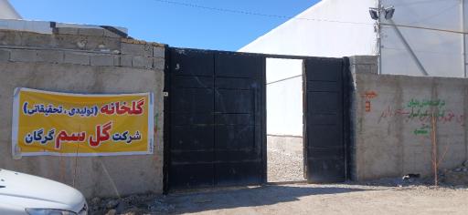 عکس گلخانه شرکت دانش بنیان گل سم