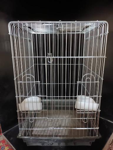 عکس فروشگاه دان پرنده رضوی