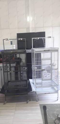 عکس فروشگاه دان پرنده رضوی