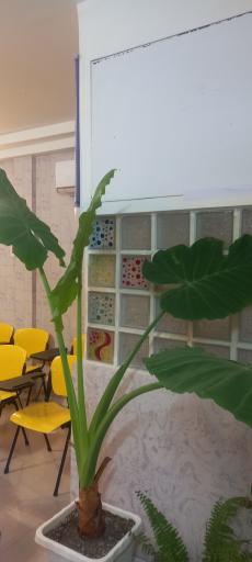 عکس مرکز مشاوره و روانشناسی پرهیزکار