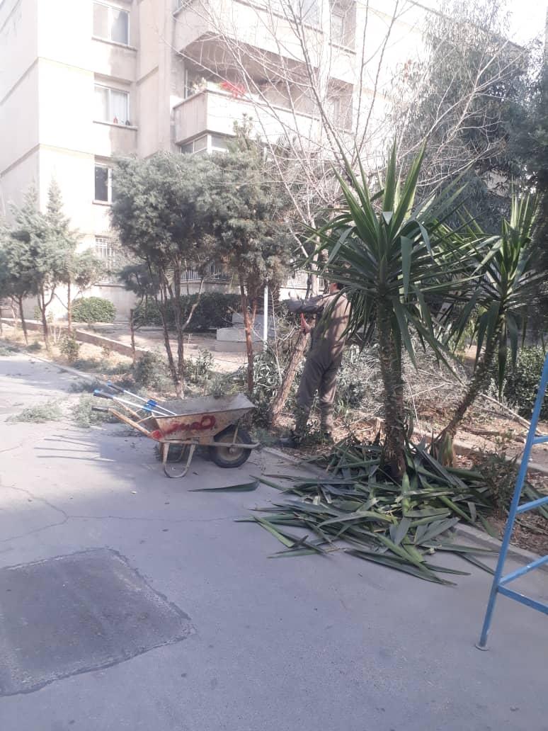 عکس مجتمع مسکونی گلناز