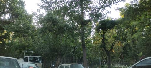 عکس بوستان آرزو