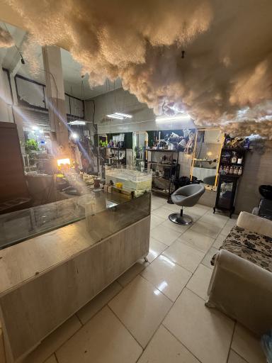 عکس مرکز پیرایشی آرایشی سزار