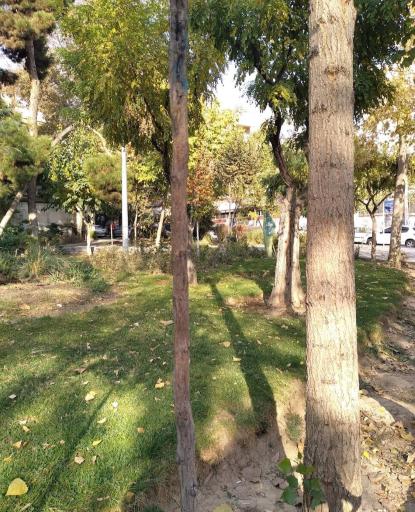 عکس بوستان آرزو