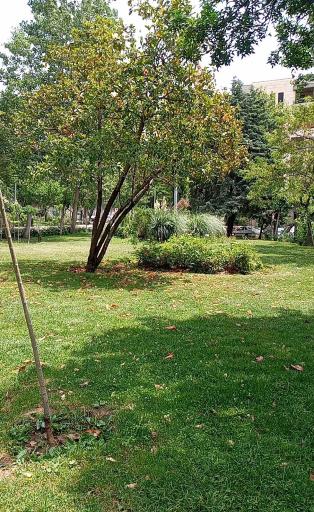 عکس بوستان آرزو