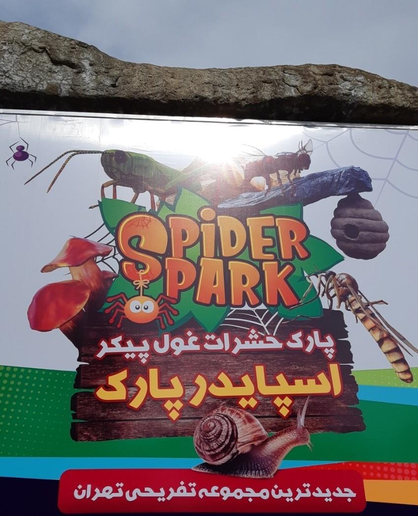 عکس پارک حشرات (اسپایدر پارک) شعبه پرواز