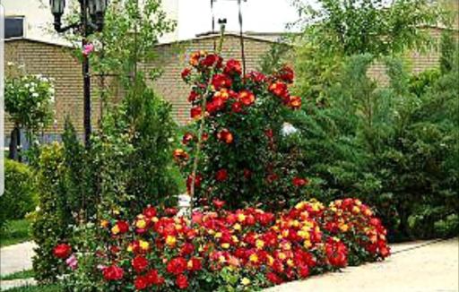 عکس هتل و رستوران پارامیدا