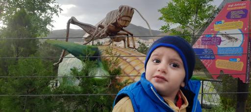 عکس پارک حشرات (اسپایدر پارک)