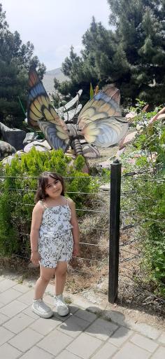 عکس پارک حشرات (اسپایدر پارک)