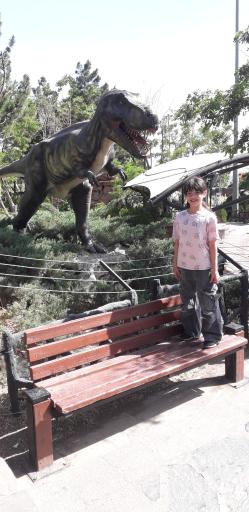 عکس پارک حشرات (اسپایدر پارک)